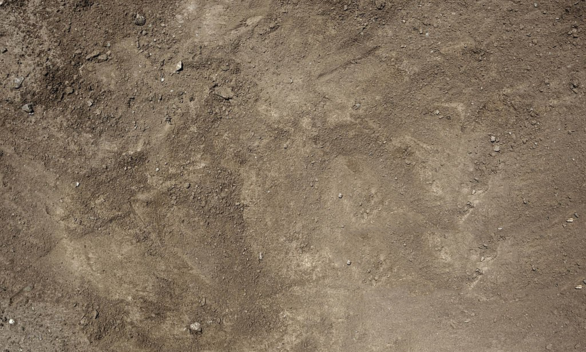 Astrologieberatung Berlin Zodiac-Parenting, Beratung für Jugendliche und Erwachsene